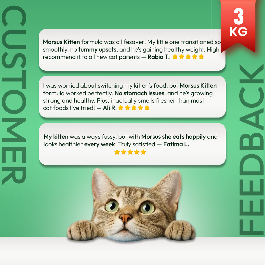 Morsus Kitten Food (2-12 Months)- Chicken, Fish and Vegetable Flavour 3kg