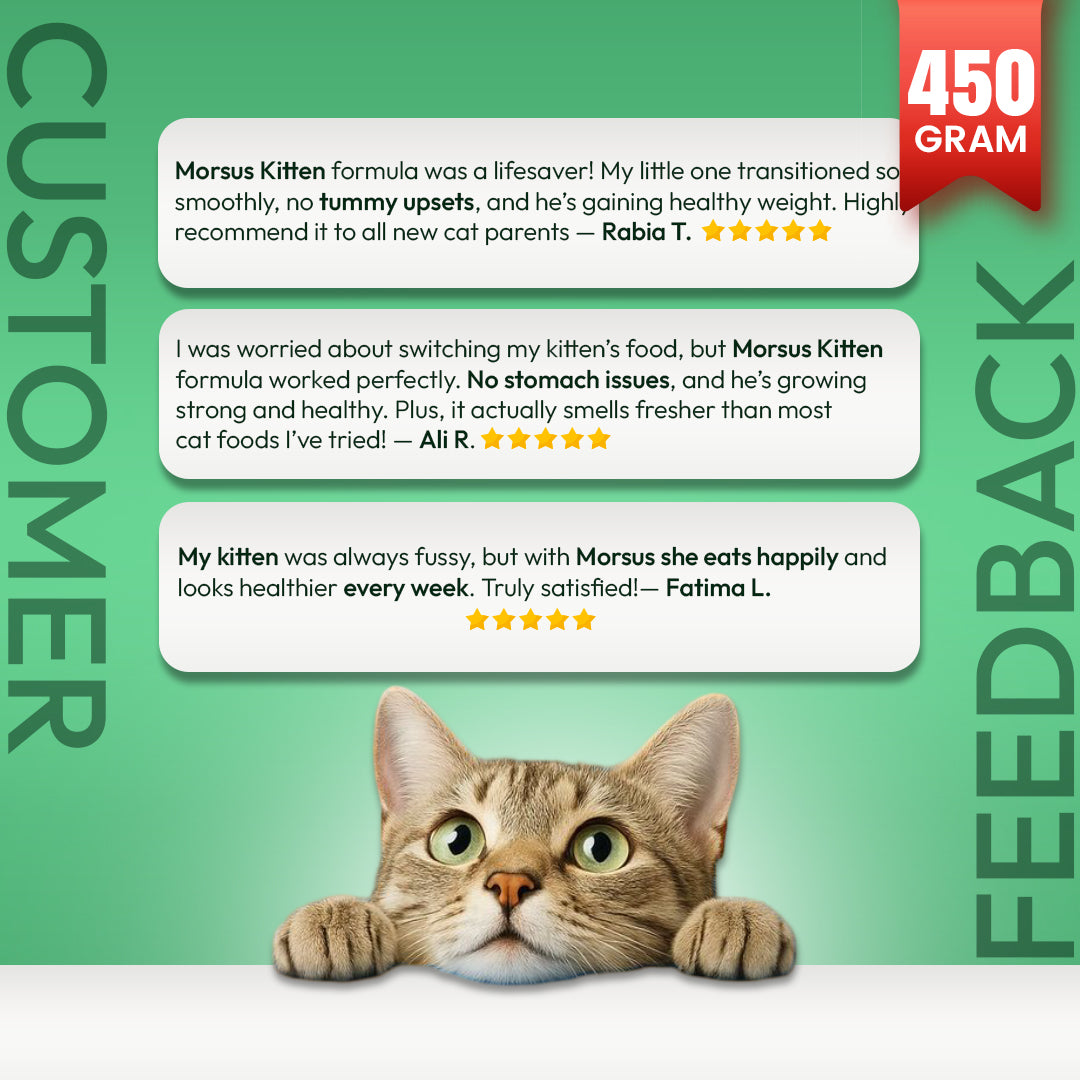 Morsus Kitten Food (2-12 Months)- Chicken, Fish and Vegetable Flavour 450g