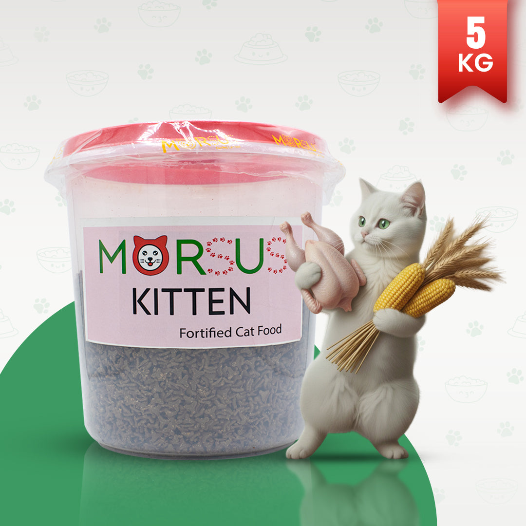 Morsus Kitten Food (2-12 Months)- Chicken, Fish and Vegetable Flavour 5kg