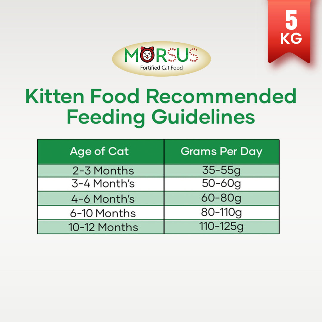Morsus Kitten Food (2-12 Months)- Chicken, Fish and Vegetable Flavour 5kg