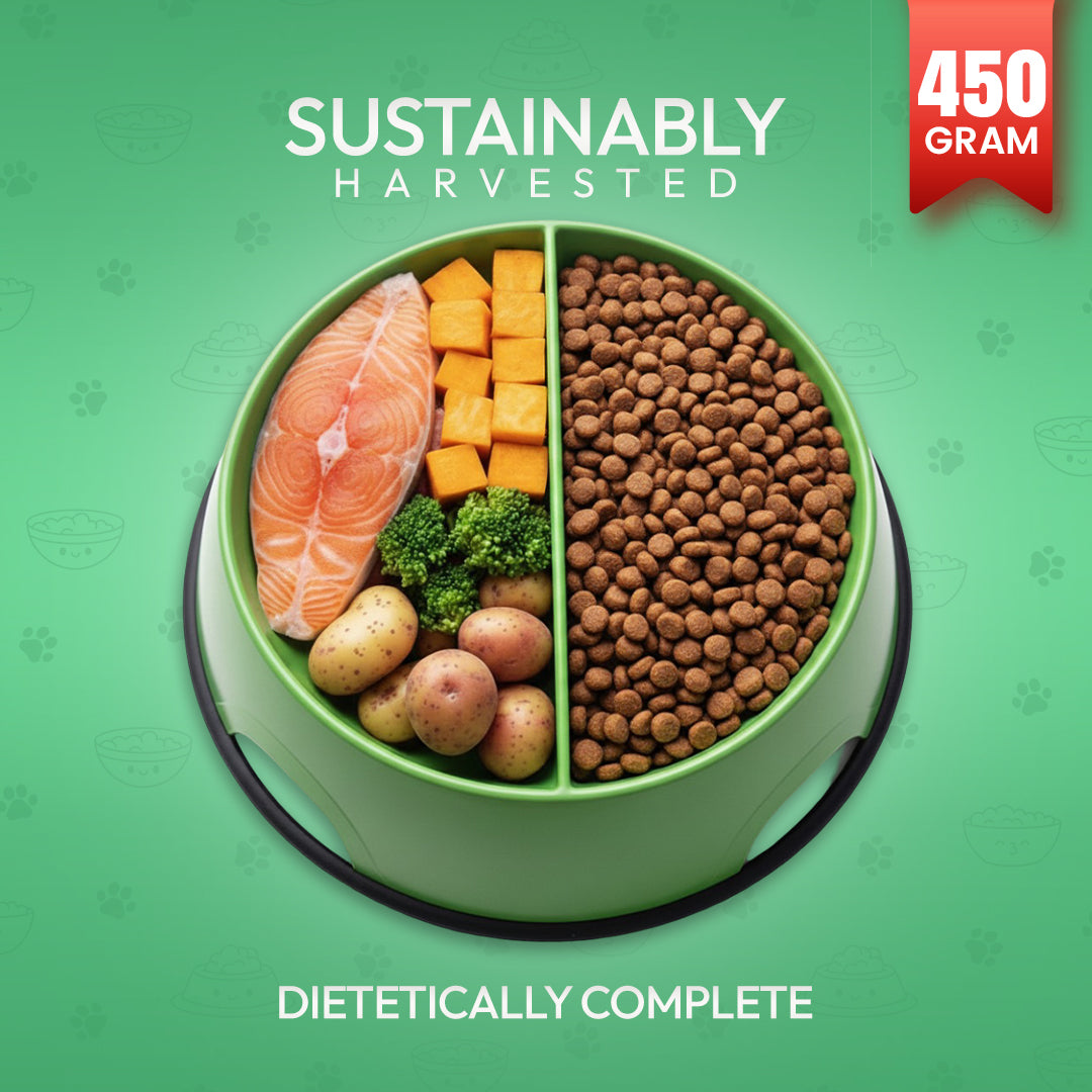 Morsus Adult Cat Food (1+ year)- Seafood Flavour 450g