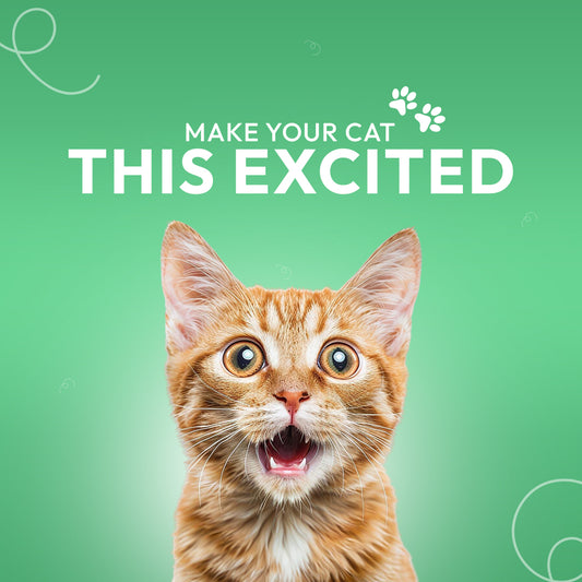 Morsus Cat Litter No Scent – 5 Litre