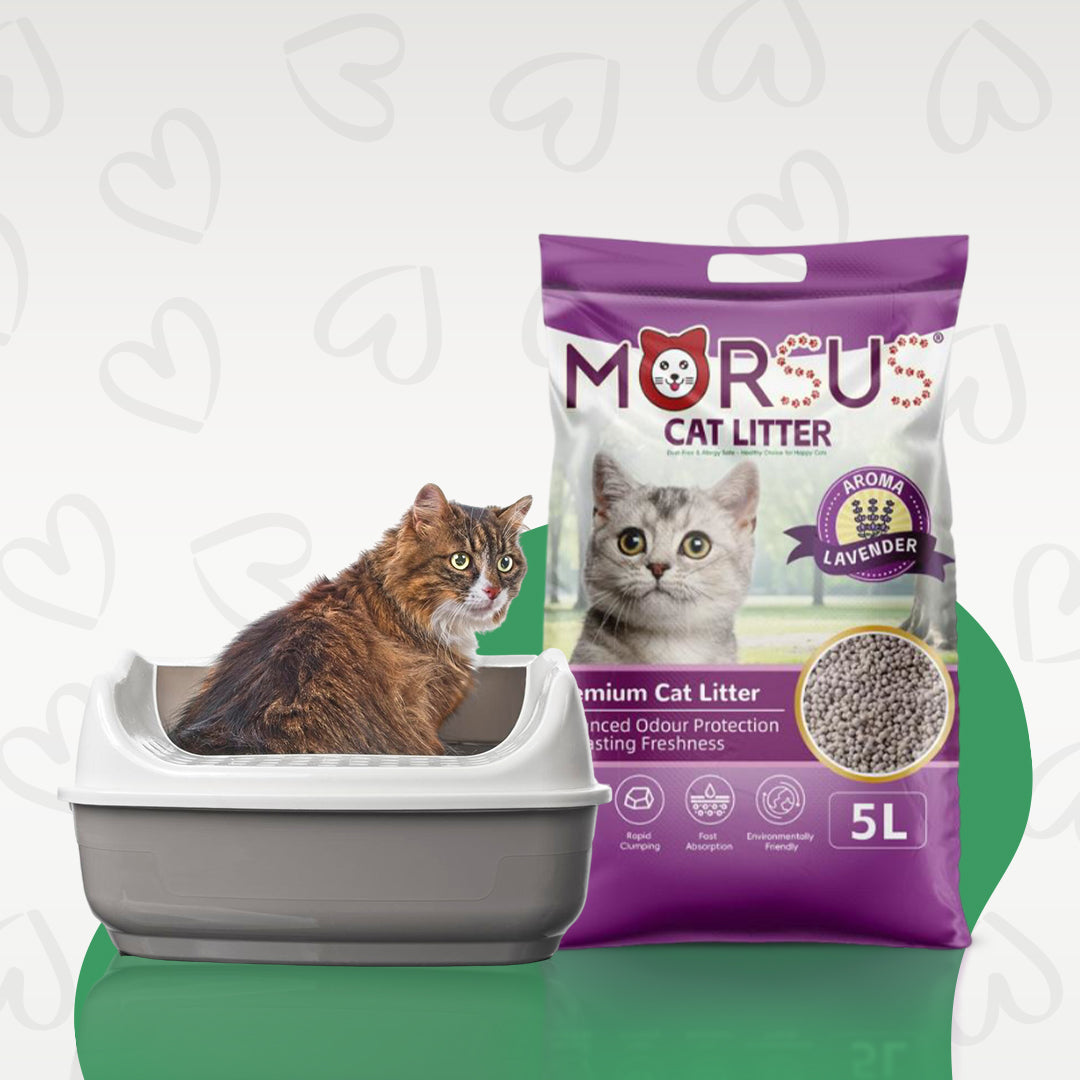 Morsus Cat Litter Lavender Scent – 5 Litre