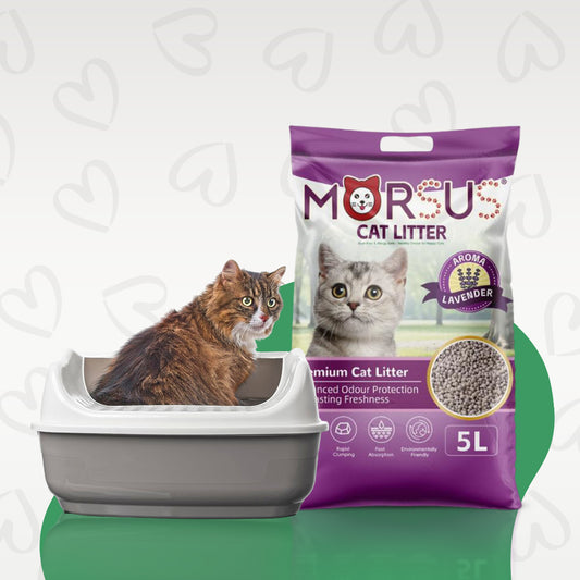 Morsus Cat Litter Lavender Scent – 5 Litre