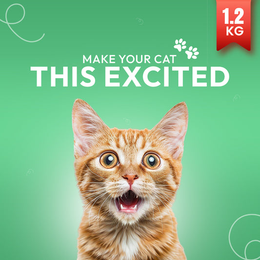 Morsus Adult Cat Food (1+ year)- Chicken Flavour 1.2kg