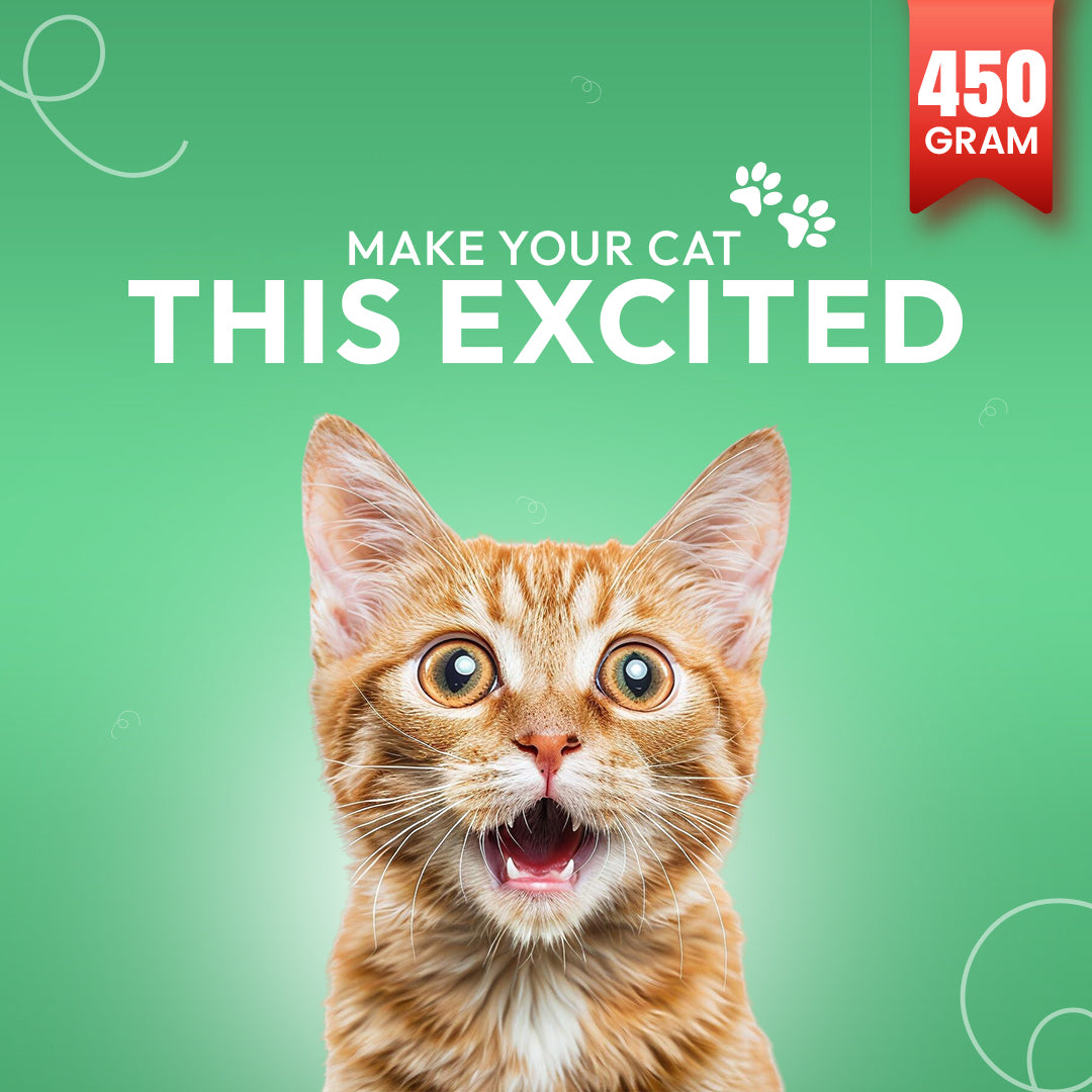 Morsus Adult Cat Food (1+ year)- Chicken Flavour 450g hover