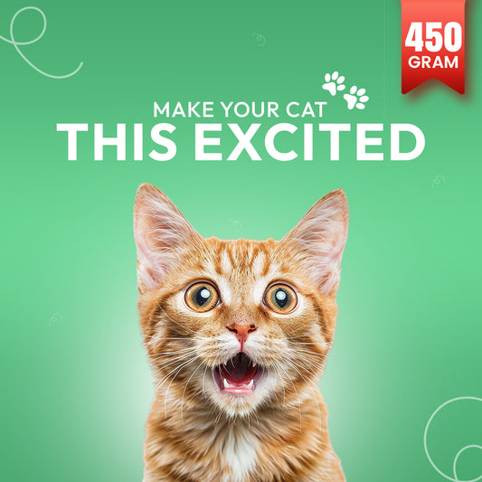 Morsus Adult Cat Food (1+ year)- Chicken Flavour 450g