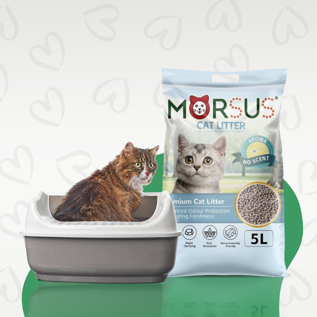 Morsus Cat Litter No Scent – 5 Litre