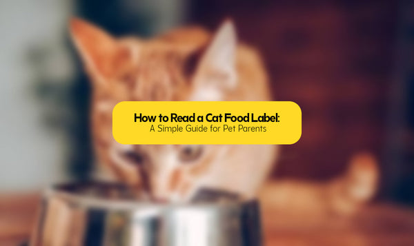 How to Read a Cat Food Label: A Simple Guide for Pet Parents
