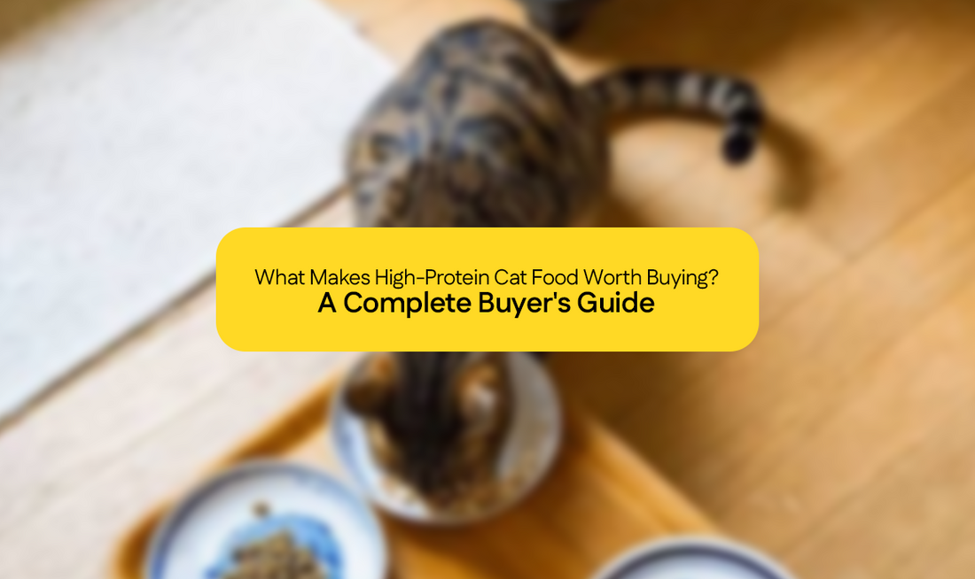 What Makes High-Protein Cat Food Worth Buying? A Complete Buyer's Guide