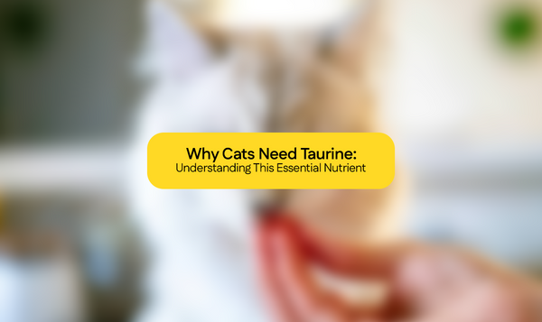 Why Cats Need Taurine: Understanding This Essential Nutrient