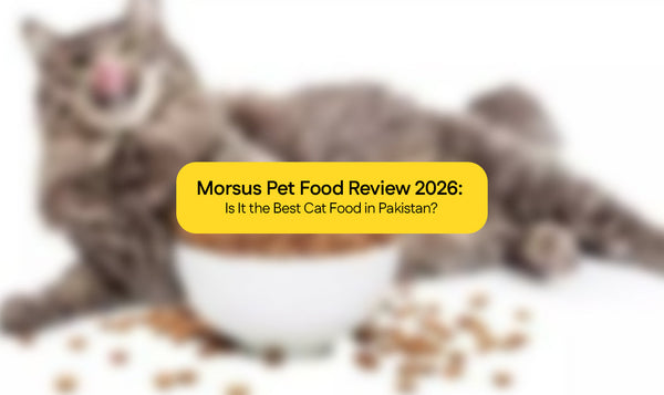 Morsus Pet Food Review 2026: Is It the Best Cat Food in Pakistan?