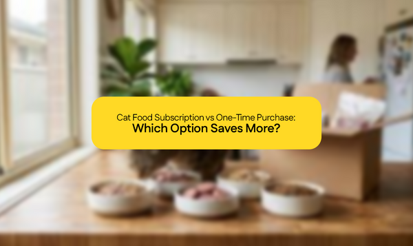 Cat Food Subscription vs One-Time Purchase: Which Option Saves More?
