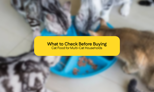 What to Check Before Buying Cat Food for Multi-Cat Households