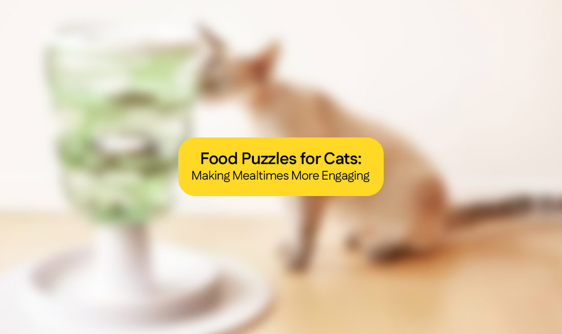 Food Puzzles for Cats: Making Mealtimes More Engaging