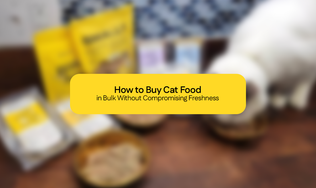 How to Buy Cat Food in Bulk Without Compromising Freshness