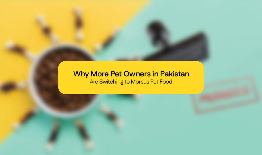 Why More Pet Owners in Pakistan Are Switching to Morsus Pet Food