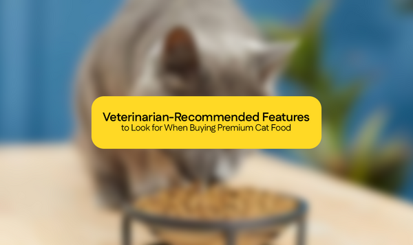 Veterinarian-Recommended Features to Look for When Buying Premium Cat Food