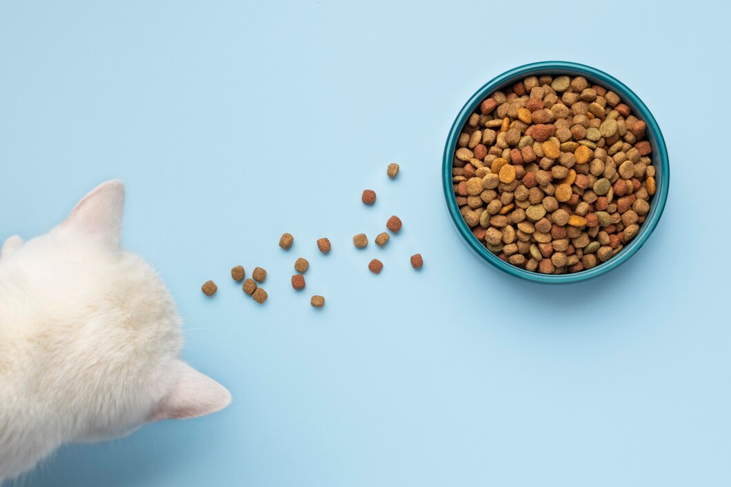 From Old to Gold: How to Transition Your Cat to Premium Cat Food