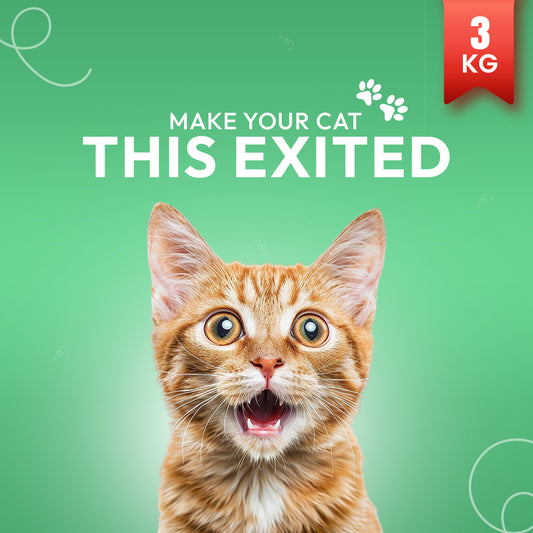 Morsus Kitten Food (2-12 Months)- Chicken, Fish and Vegetable Flavour 3kg