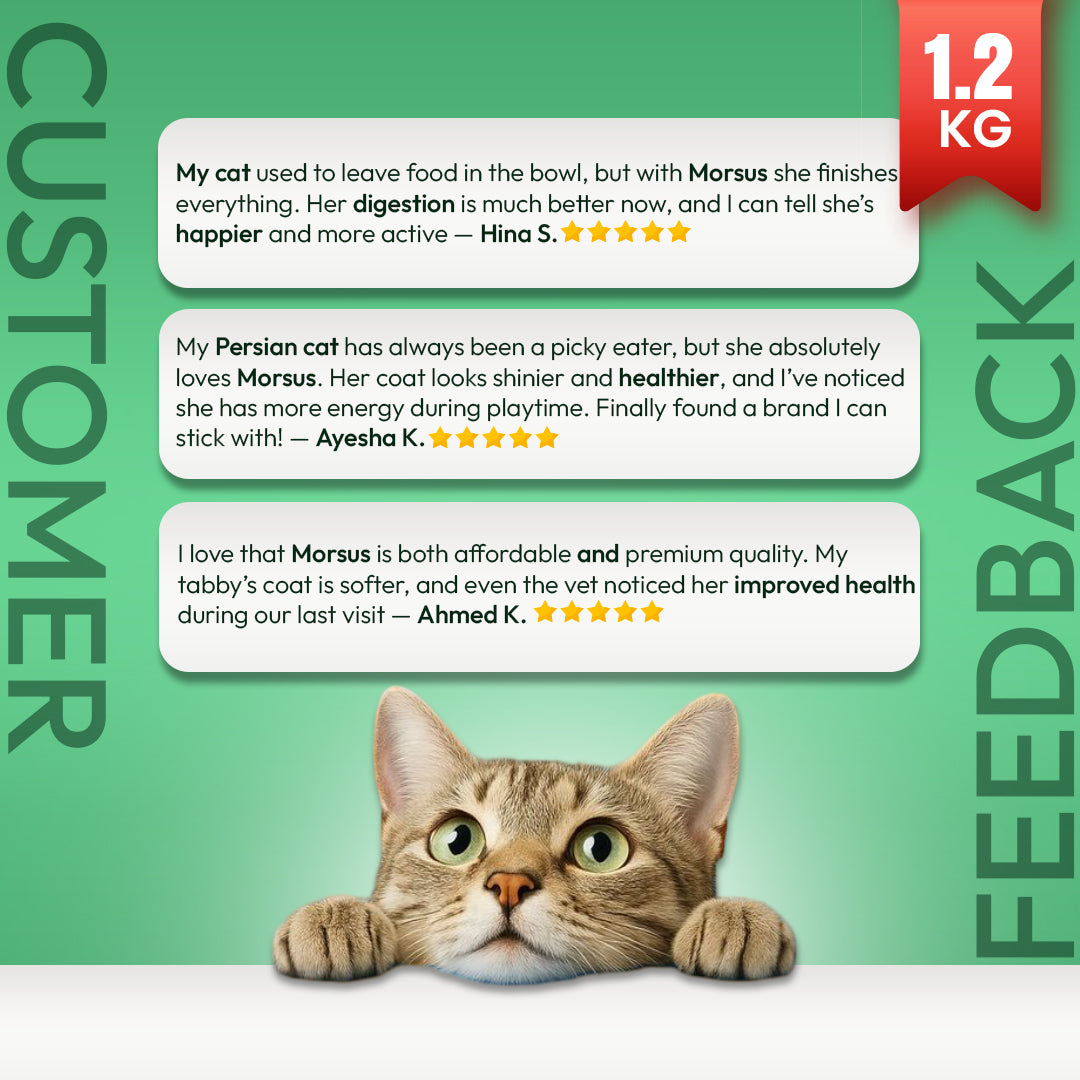 Morsus Adult Cat Food (1+ year)- Chicken Flavour 1.2kg