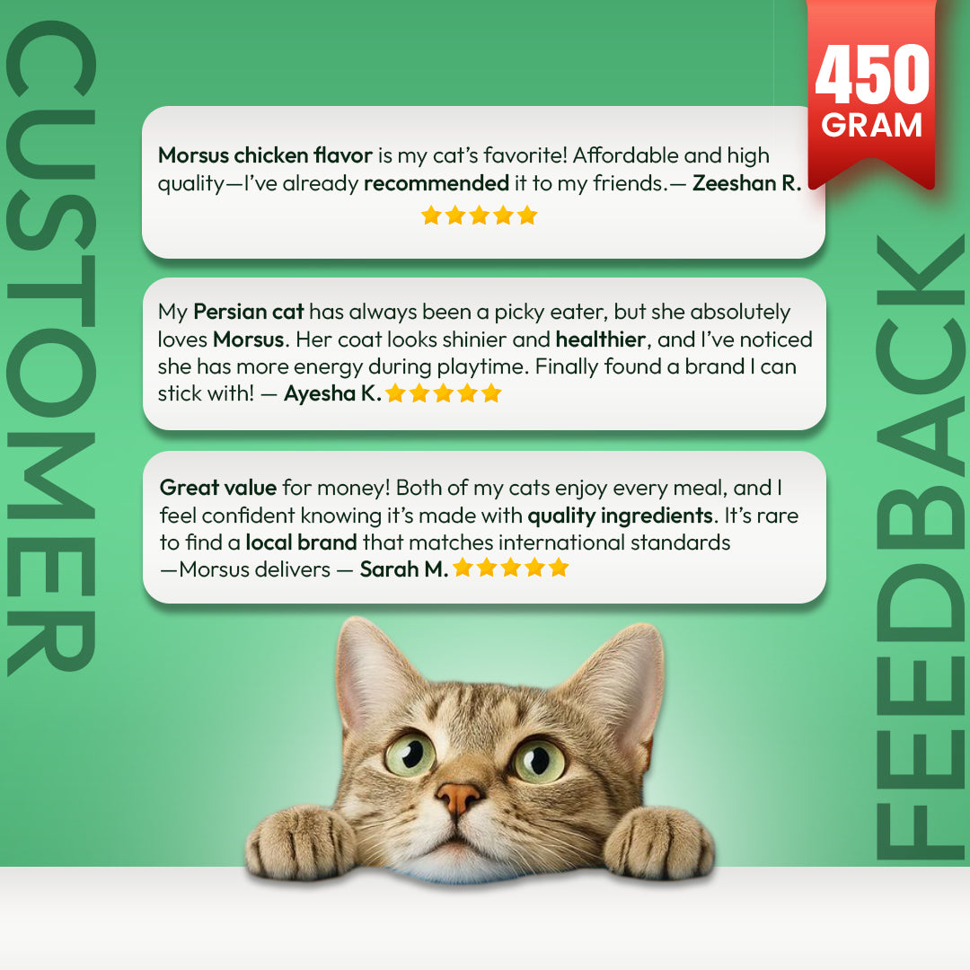 Morsus Adult Cat Food (1+ year)- Chicken Flavour 450g