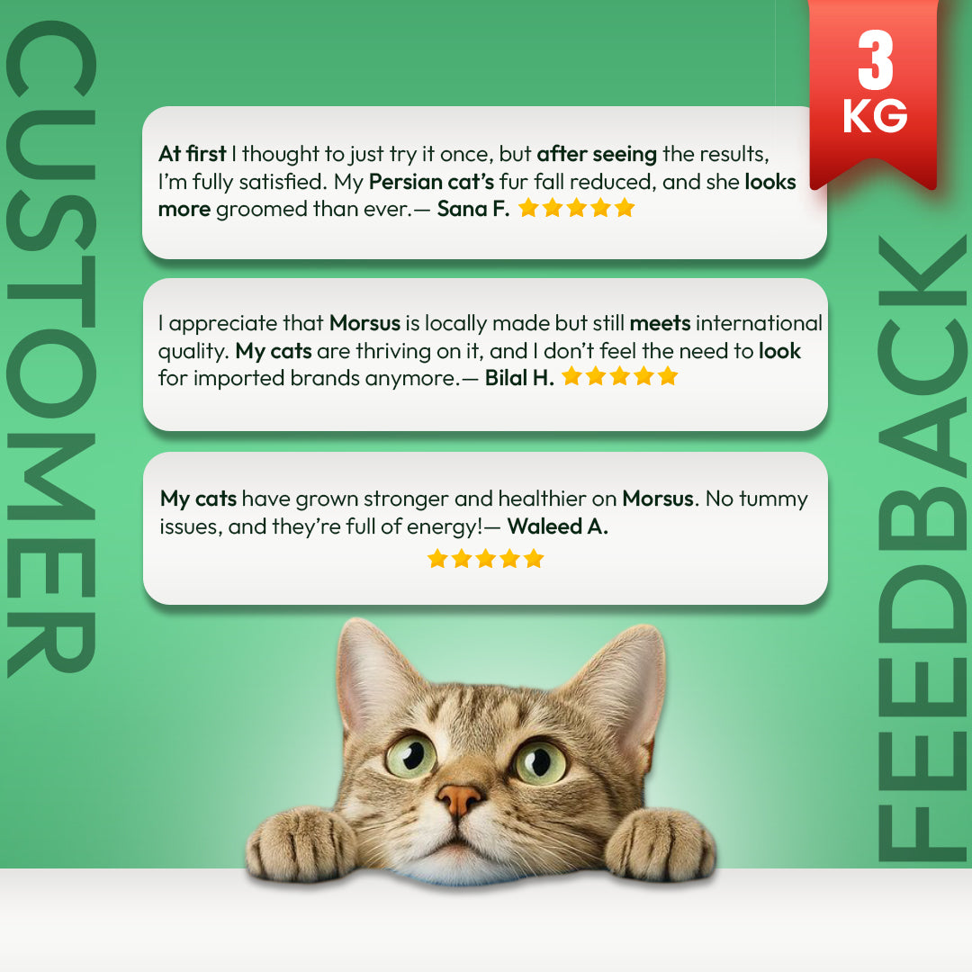 Morsus Adult Cat Food (1+ year)- Chicken Flavour 3kg Bucket