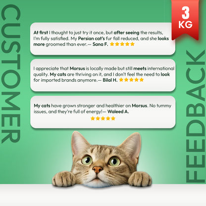 Morsus Adult Cat Food (1+ year)- Chicken Flavour 3kg Bucket