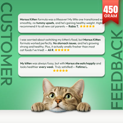 Morsus Kitten Food (2-12 Months)- Chicken, Fish and Vegetable Flavour 450g
