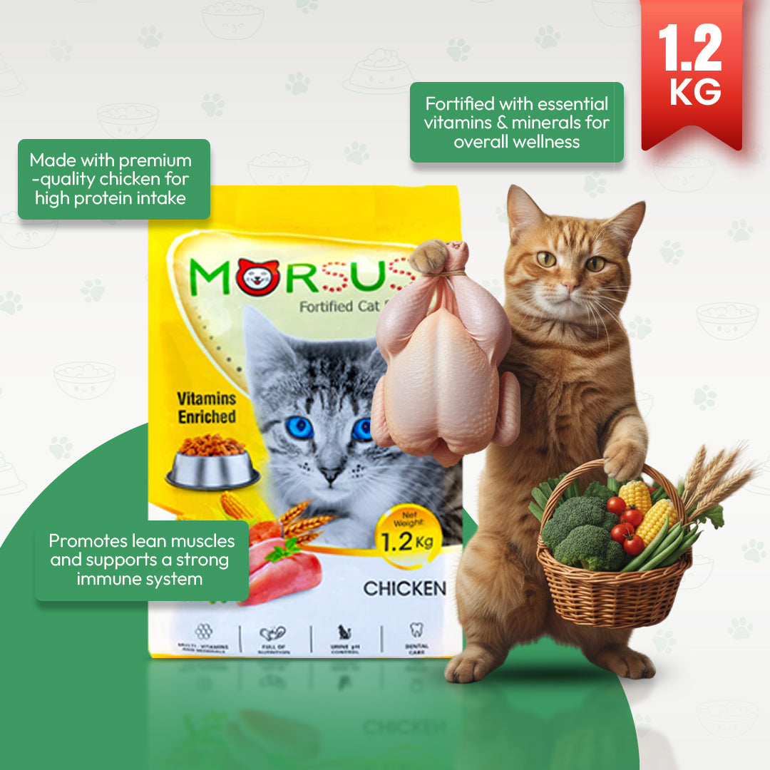 Morsus Adult Cat Food (1+ year)- Chicken Flavour 1.2kg