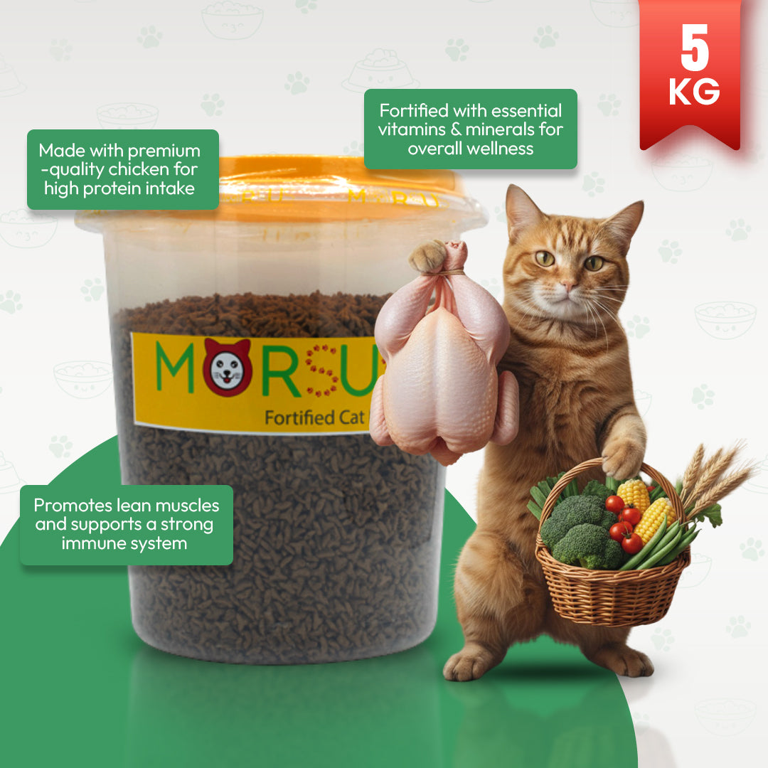 Morsus Adult Cat Food (1+ year)- Chicken Flavour 5kg Bucket