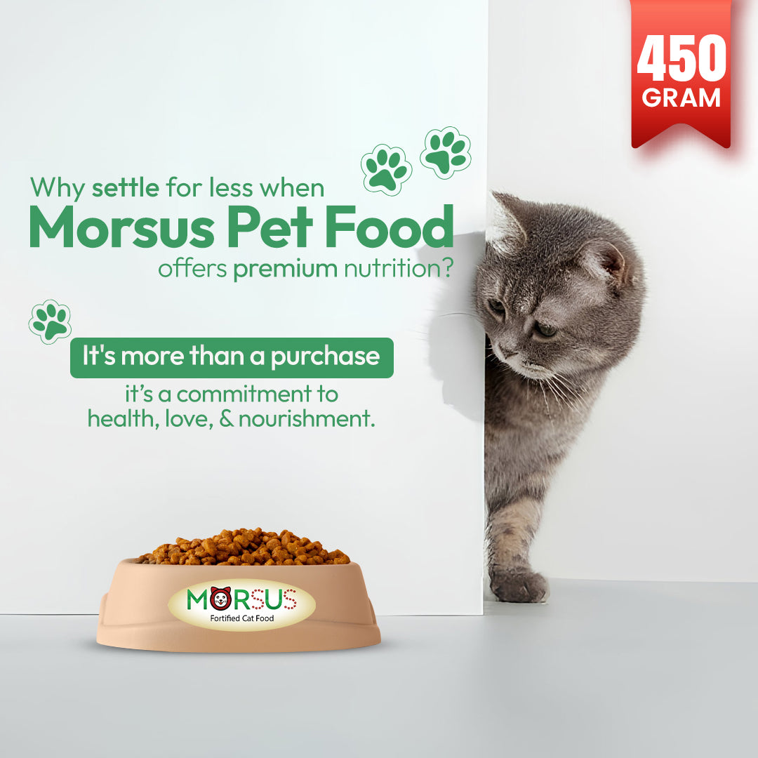 Morsus Adult Cat Food (1+ year)- Chicken Flavour 450g