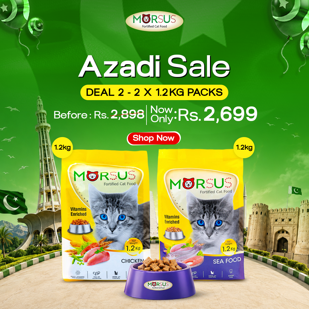 Azadi Sale - Deal 2: Double The Food Deal (2x 1.2kg Adult Food)