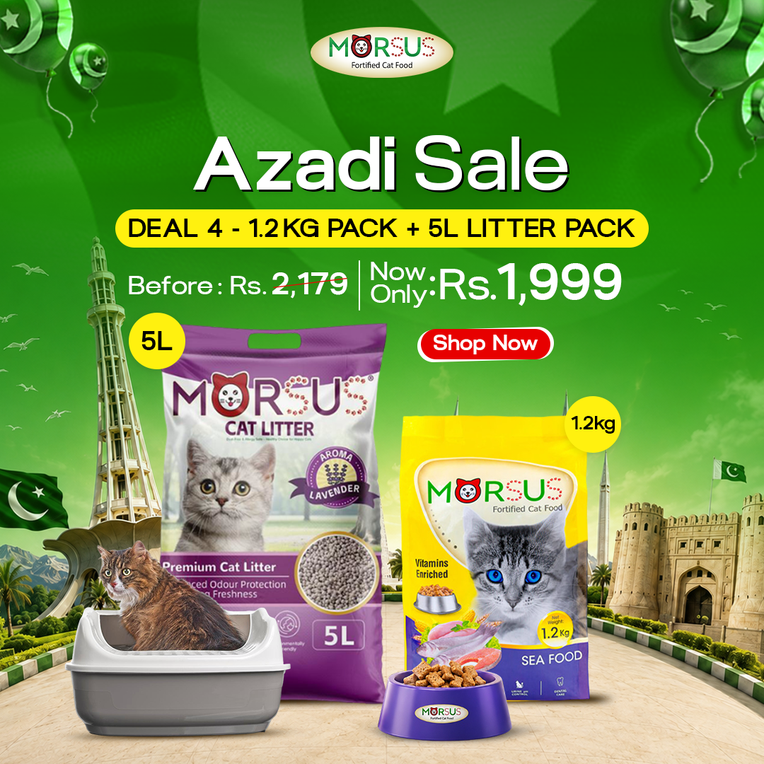 Azadi Sale - Deal 4: 1.2kg Adult Cat Food + 5L Premium Scented Litter