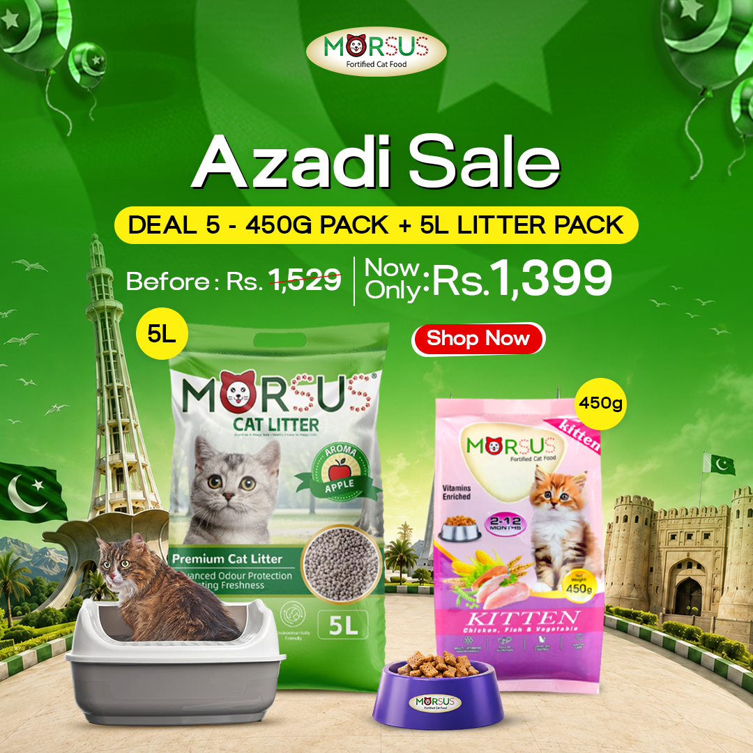 Azadi Sale - Deal 5: 450g Kitten Food + 5L Premium Scented Litter