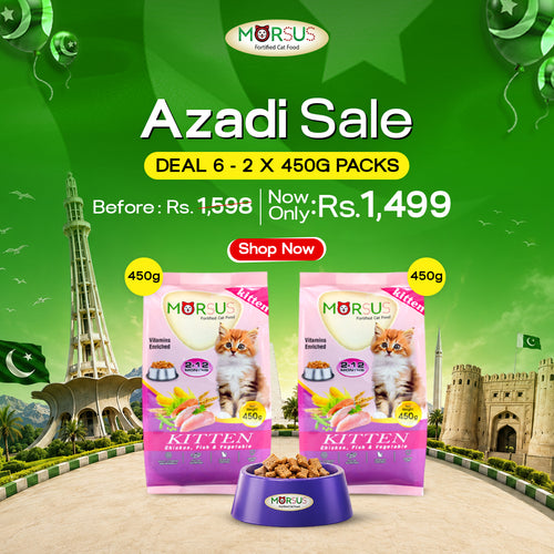 Azadi Sale - Deal 6: Double Kitten Care Pack (2x 450g Kitten Food)