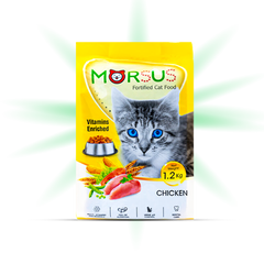 Adult Cat