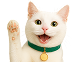 Announcement image